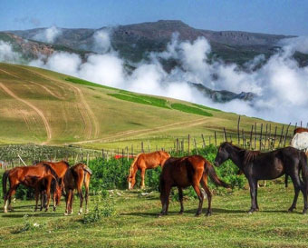 گردشگری داخلی 